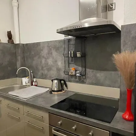 Chez Elsa Proche Gare Et Centre شقة كولمار